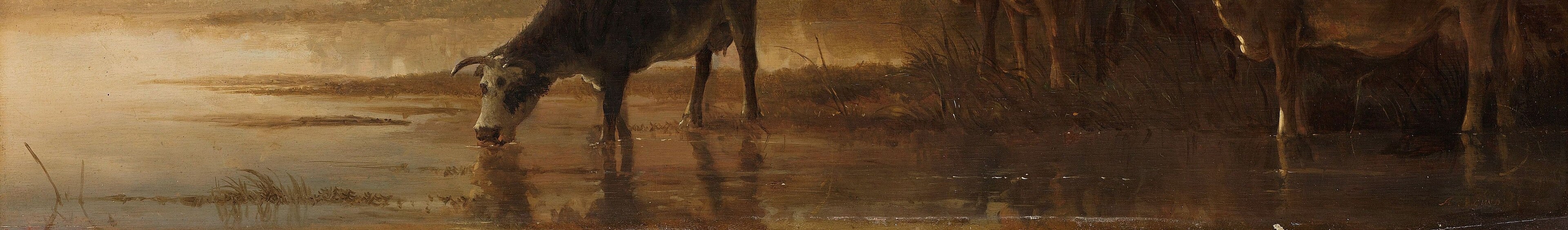 The smooth water mirrors the sky and animals, creating a sense of tranquility and depth.