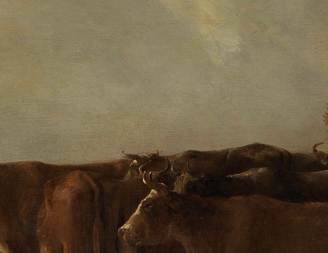 His real subject was never the animals. It was light.