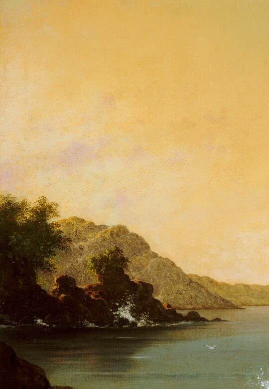 Dark silhouetted tropical species unmistakably mark this as South American; the same flora Heade was documenting for his unrealized hummingbird chromolithograph project.