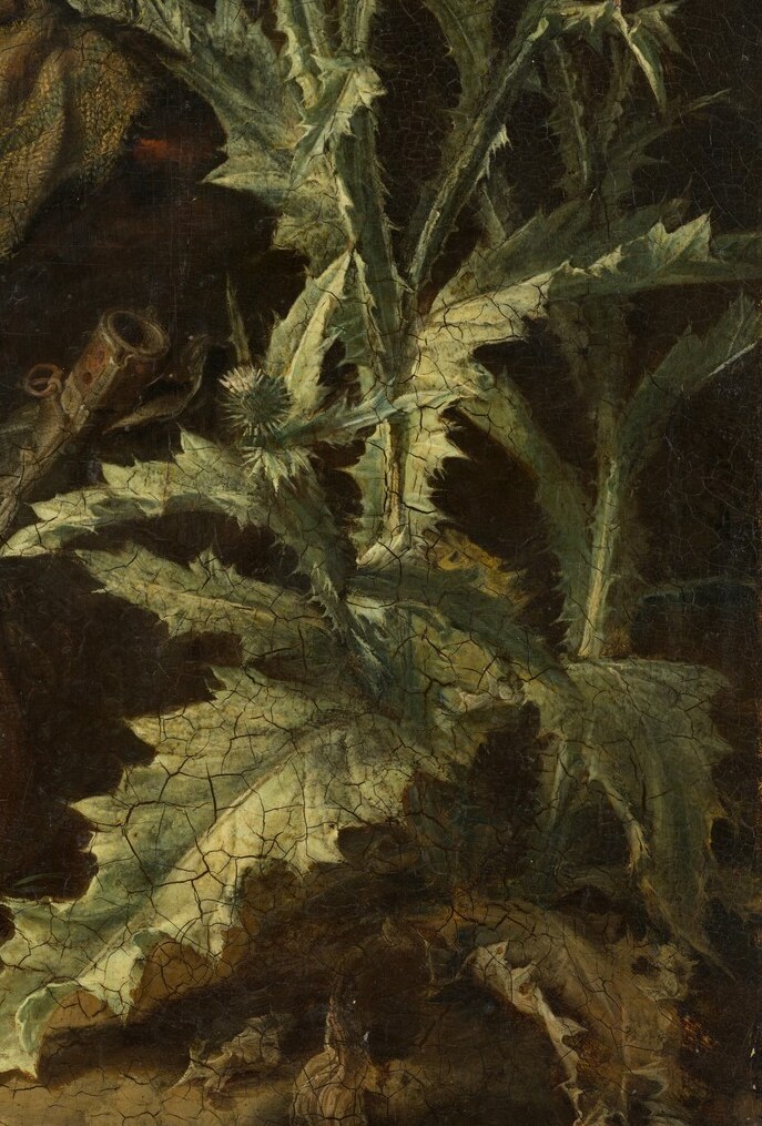 Look closely at the details of the thistle plant in the foreground.