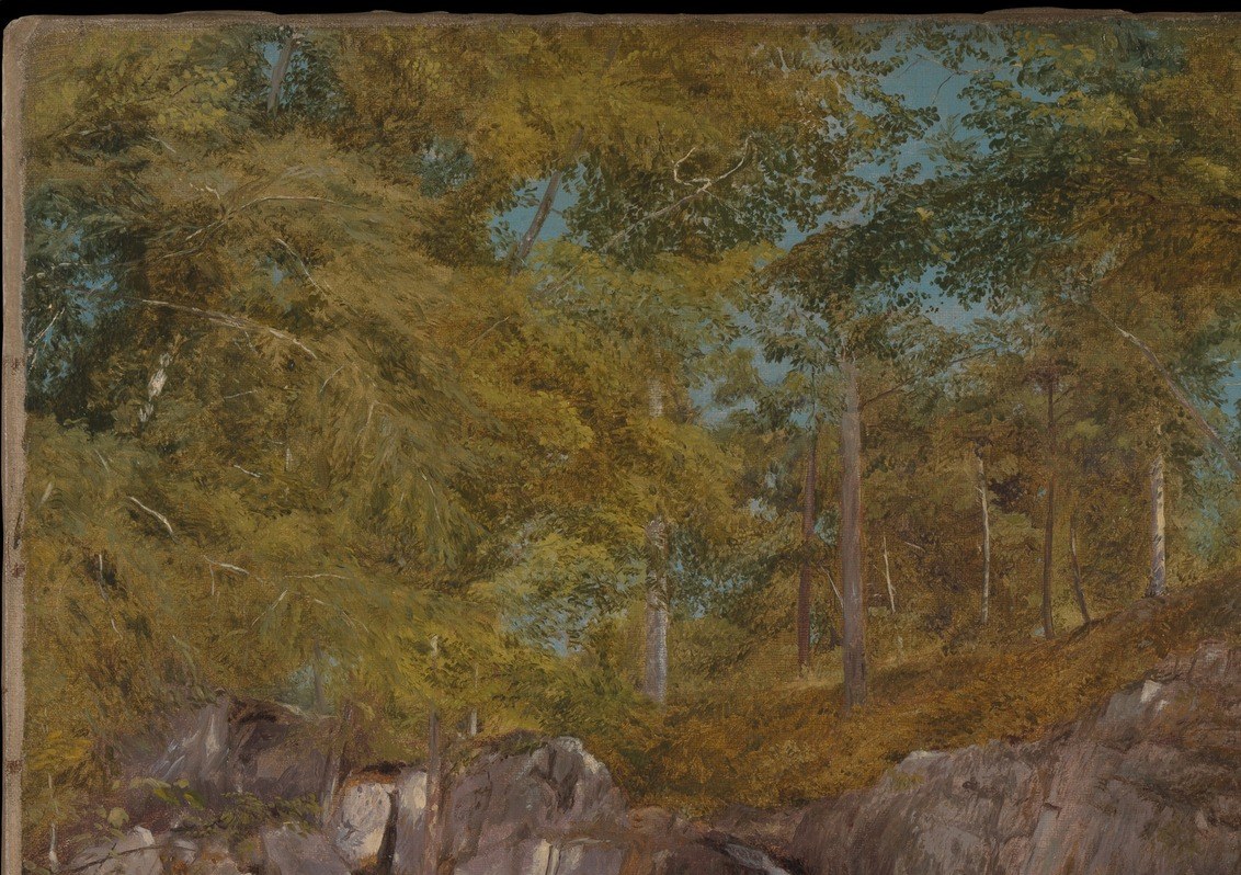 The dense foliage and vertical lines of the trees create a sense of depth and frame the central scene.