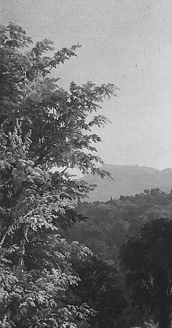 The single tree that composes the entire left edge , its silhouette frames and scales the valley below, a classic Hudson River repoussoir device