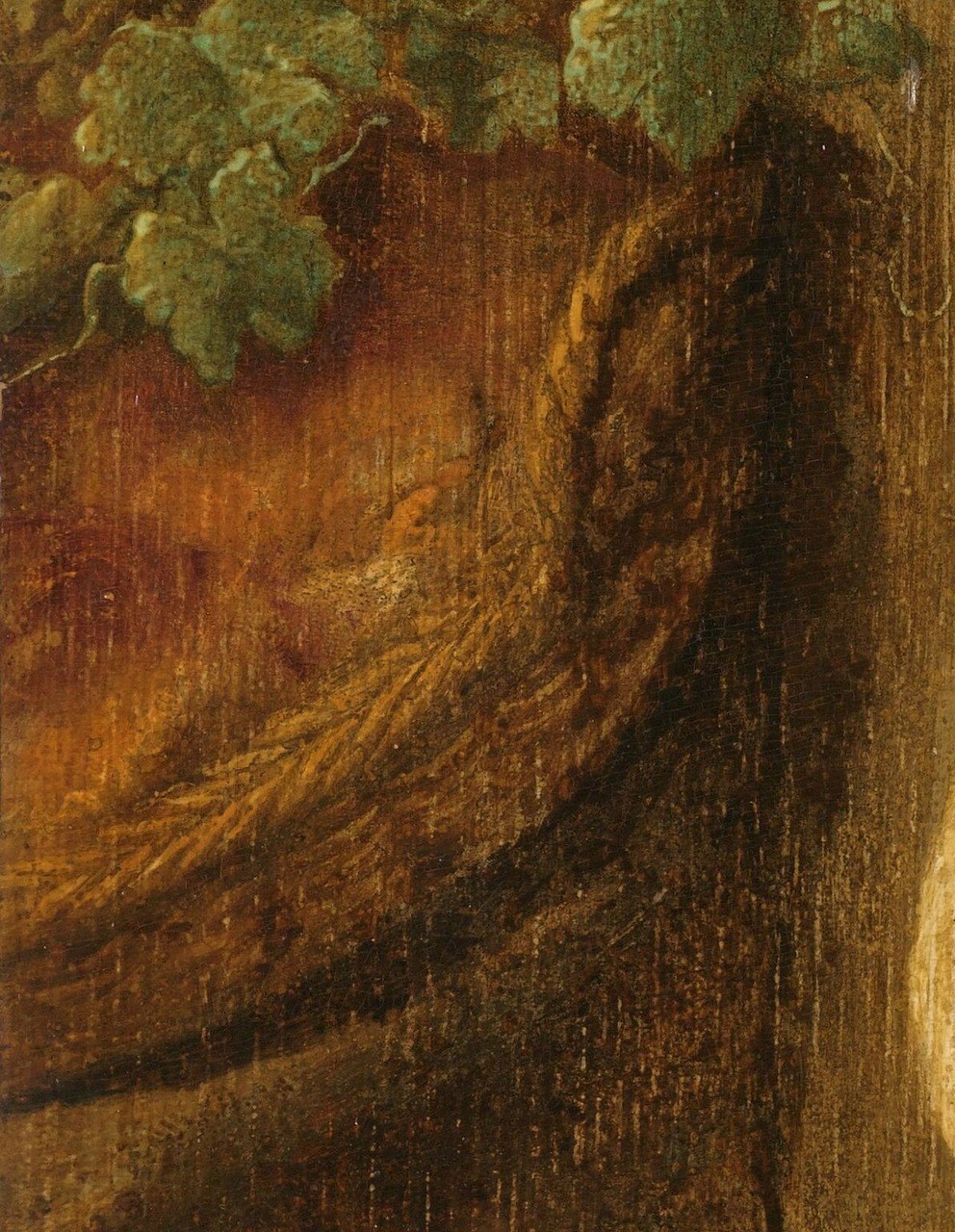 Its rough texture and earthy tone ground the plant and add to the rustic interior.