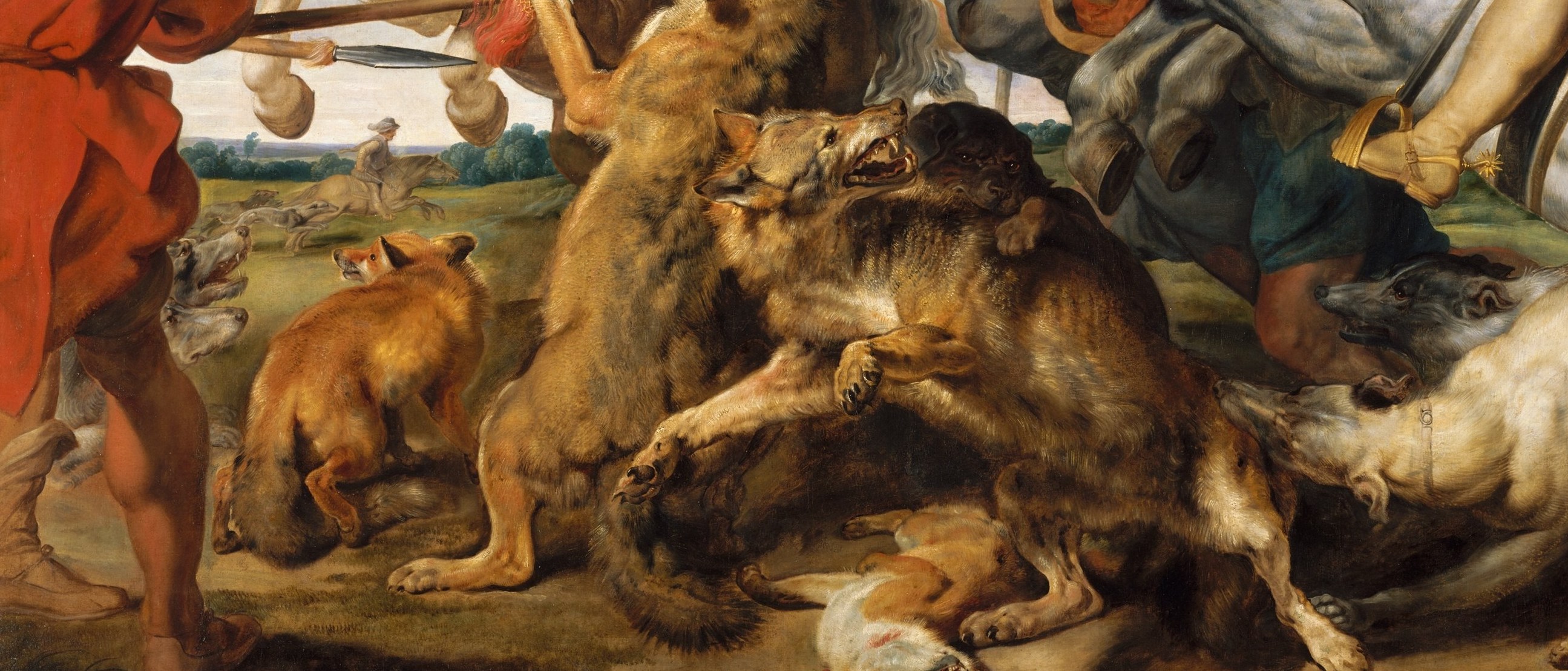 Multiple dogs tangled with wolves and foxes create a writhing mass of fur and teeth; Rubens uses their overlapping bodies to build layered diagonal energy.