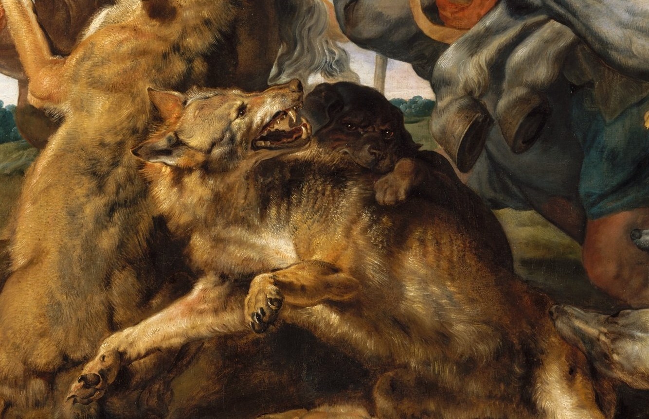 Only Rubens painted the wolves. His assistants filled the rest.