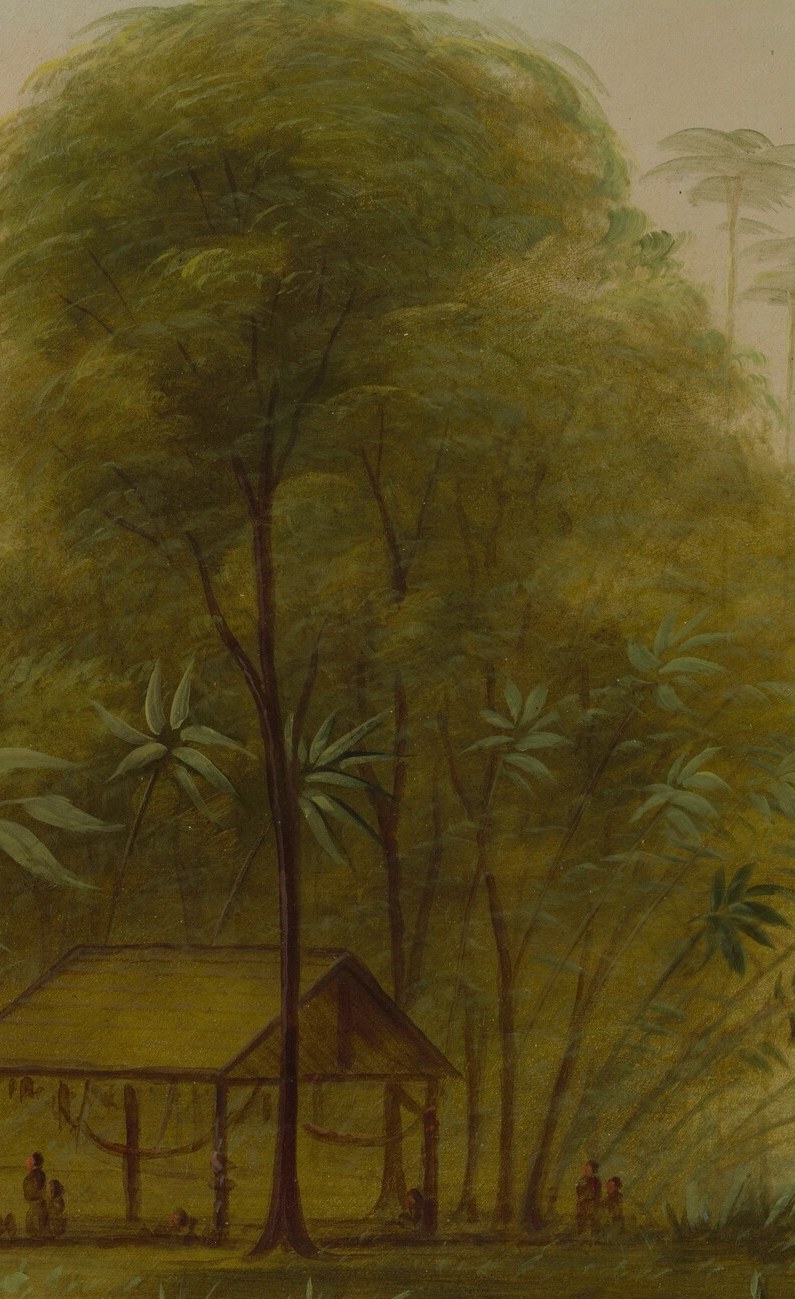 The prominent central tree acts as a landmark for the community.