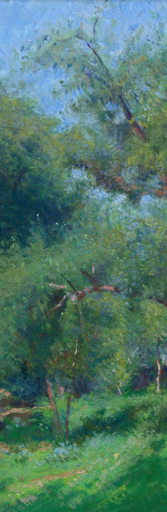 The trunk bisects the left edge, its dark bark throwing the sunlit wall into greater brilliance , a compositional anchor that frames the scene