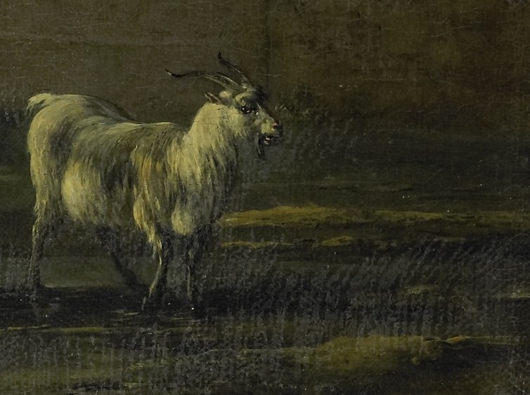 Center frame, a goat stands alert and still.