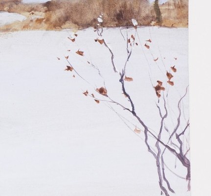 He captures the quiet contemplation of a desolate, serene environment.