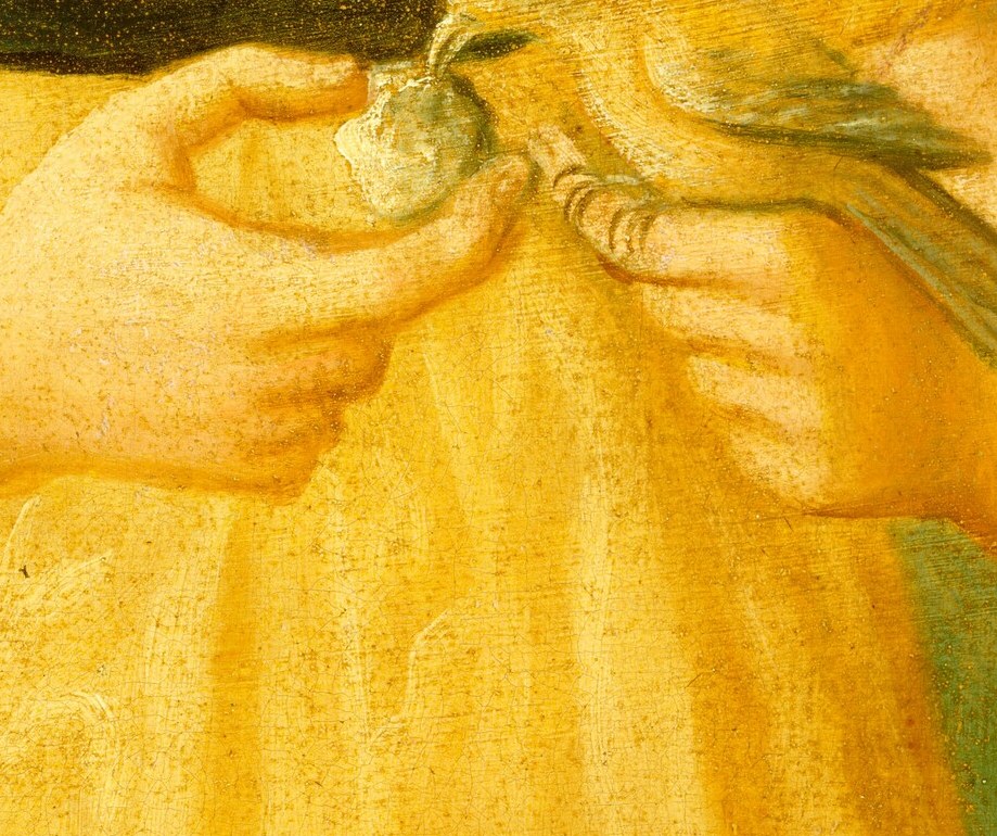 Her hands delicately cup the small, trusting bird.