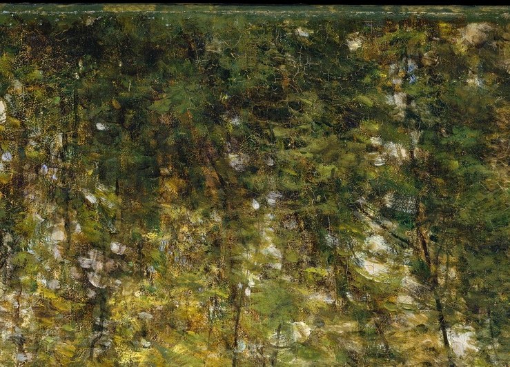 Sunlight floods down through the canopy onto a quiet stream.
