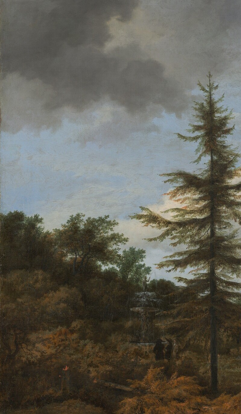 Deliberate coulisse framing; the density and darkness of these trees are not incidental , they make the slim gap holding the house feel like a revelation
