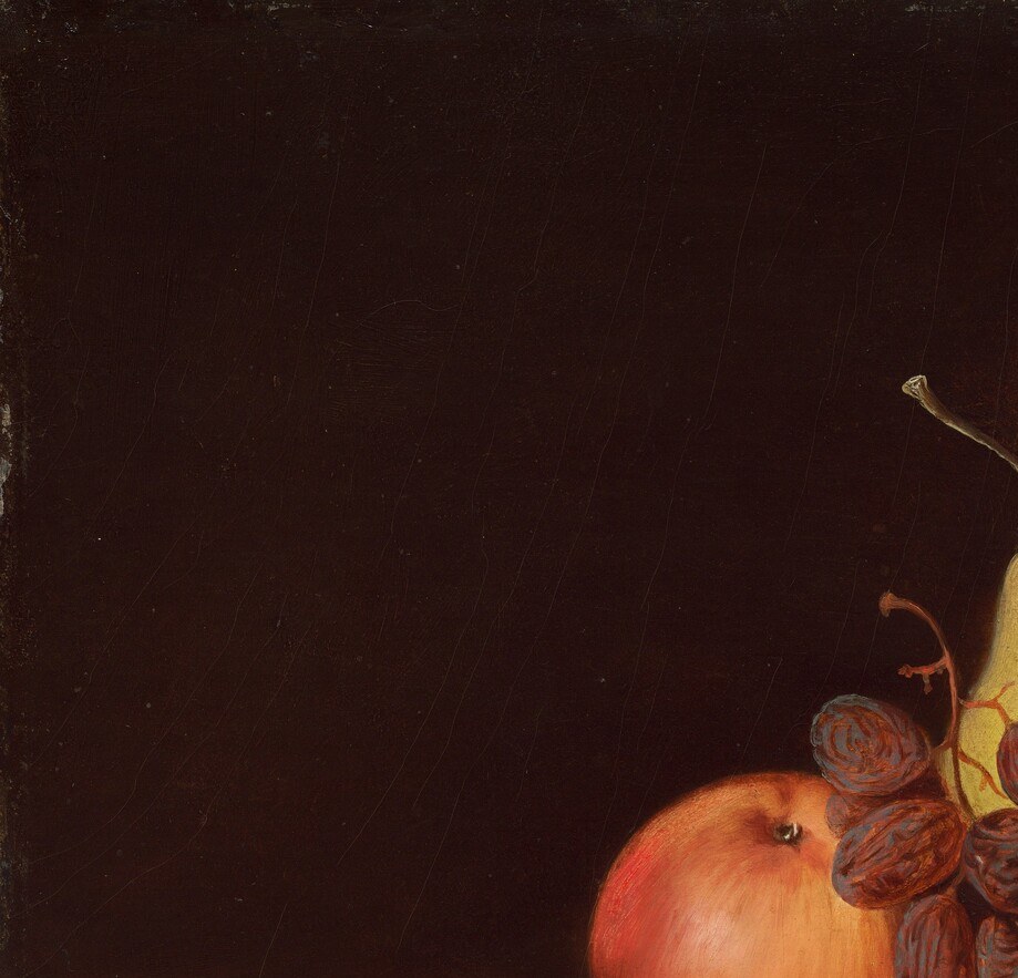 The unlit background , a Dutch Golden Age convention Duncanson consciously adopts , makes the lit fruit appear to generate their own glow; the darkness is as carefully modulated as the highlights.