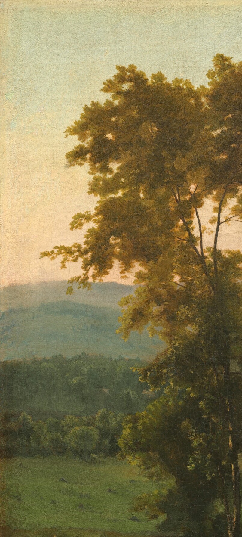 The dominant vertical in the composition; frames the entire panorama and stands as a surviving natural giant against a valley being cleared of its forest.
