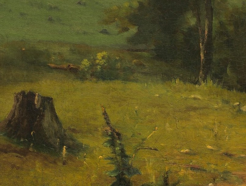 But look closely at this tiny figure in the grass.
