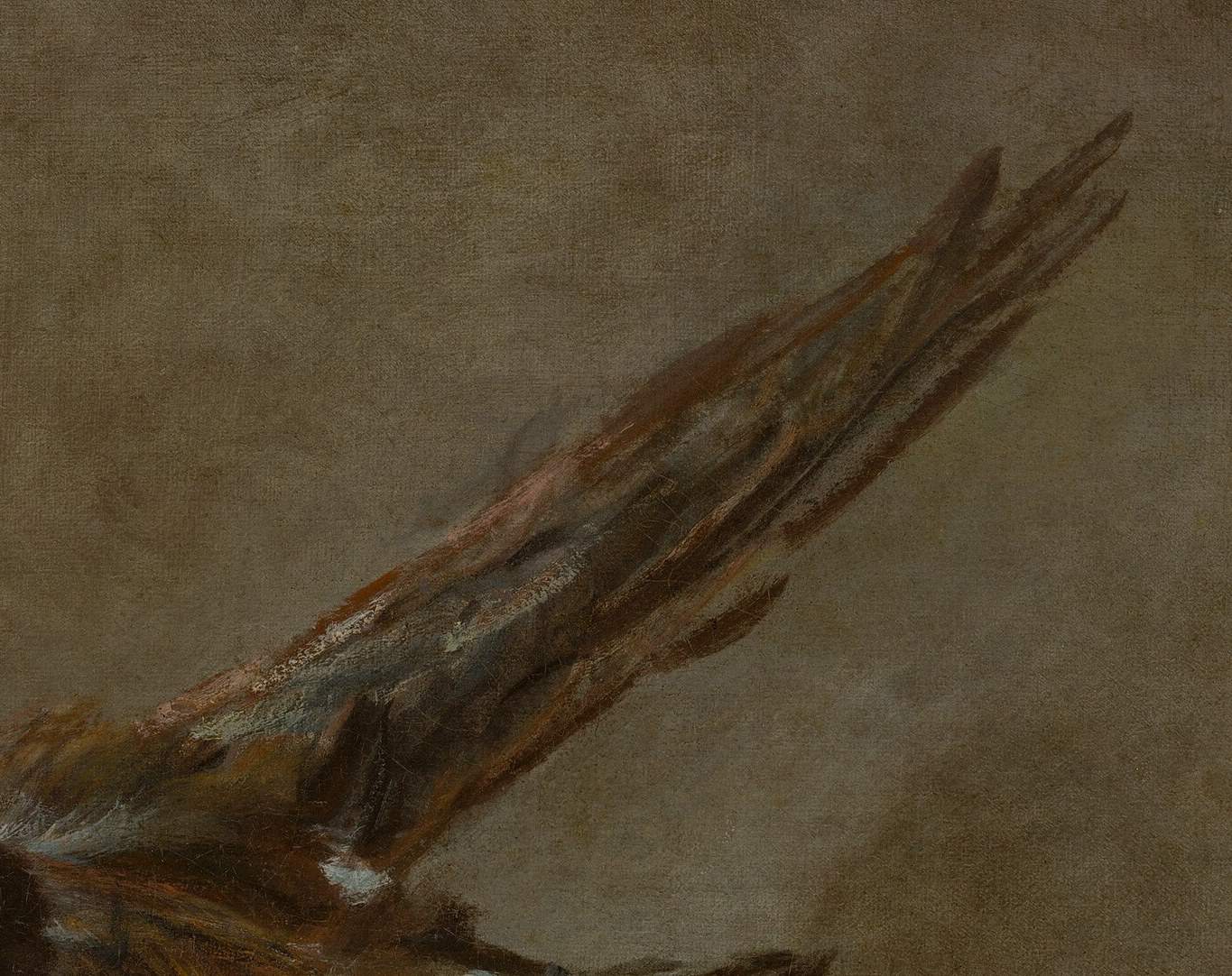 He was a master of texture, like these pheasant feathers.