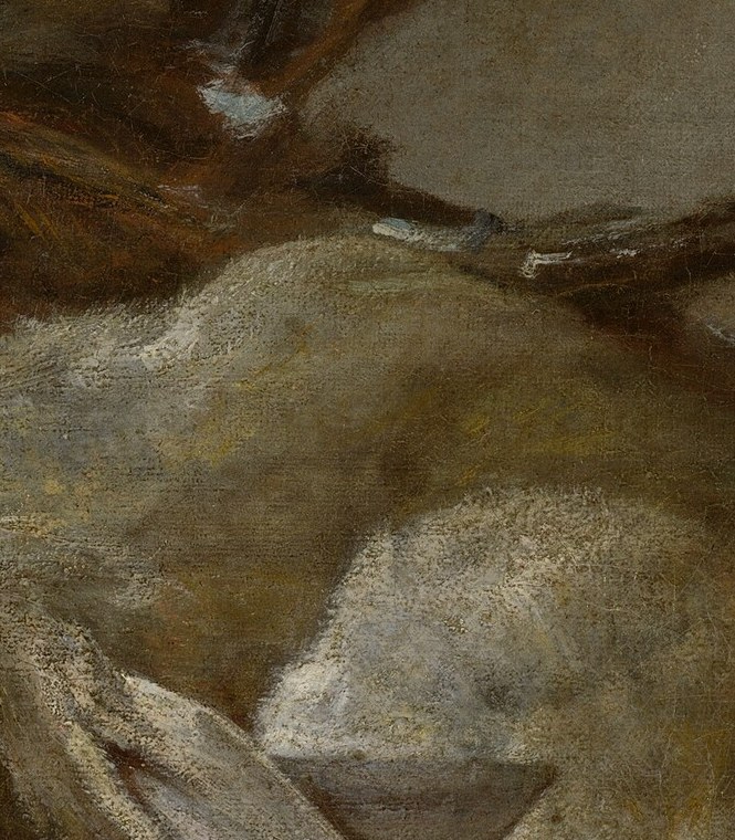 And the delicate fur of this dead rabbit.