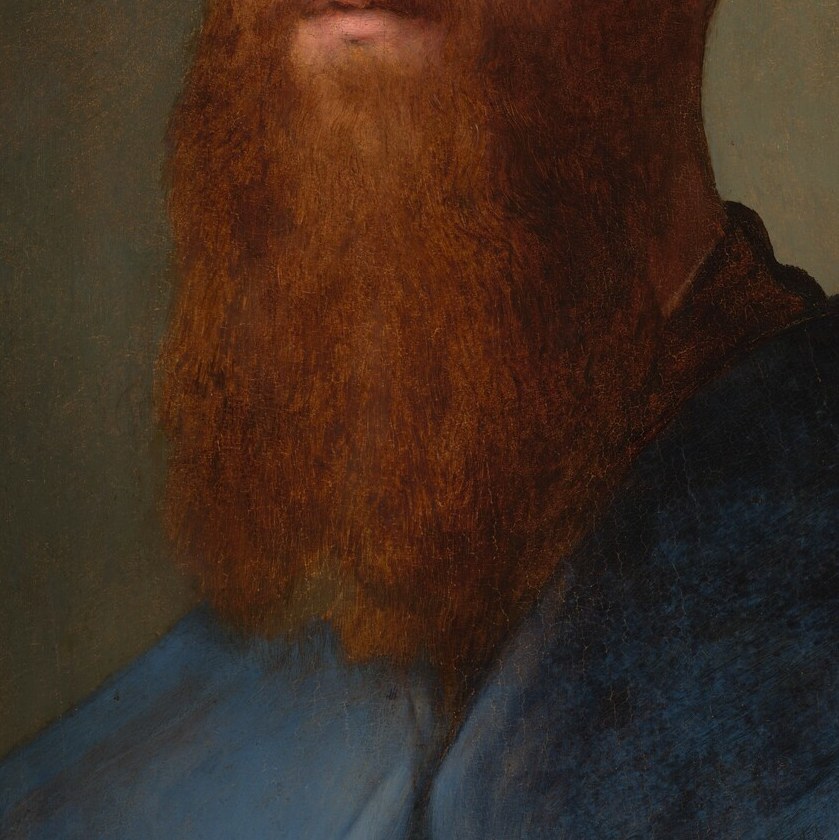 The rich, textured beard adds a sense of gravitas and perhaps a touch of wildness to his otherwise composed demeanor.