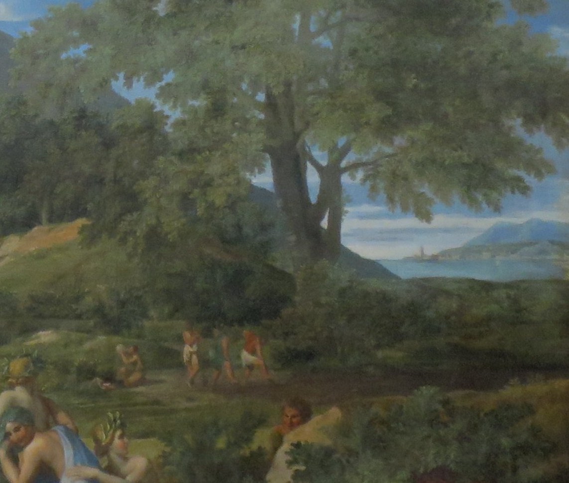A dominant natural element, its texture and form add visual weight and a sense of age to the landscape.
