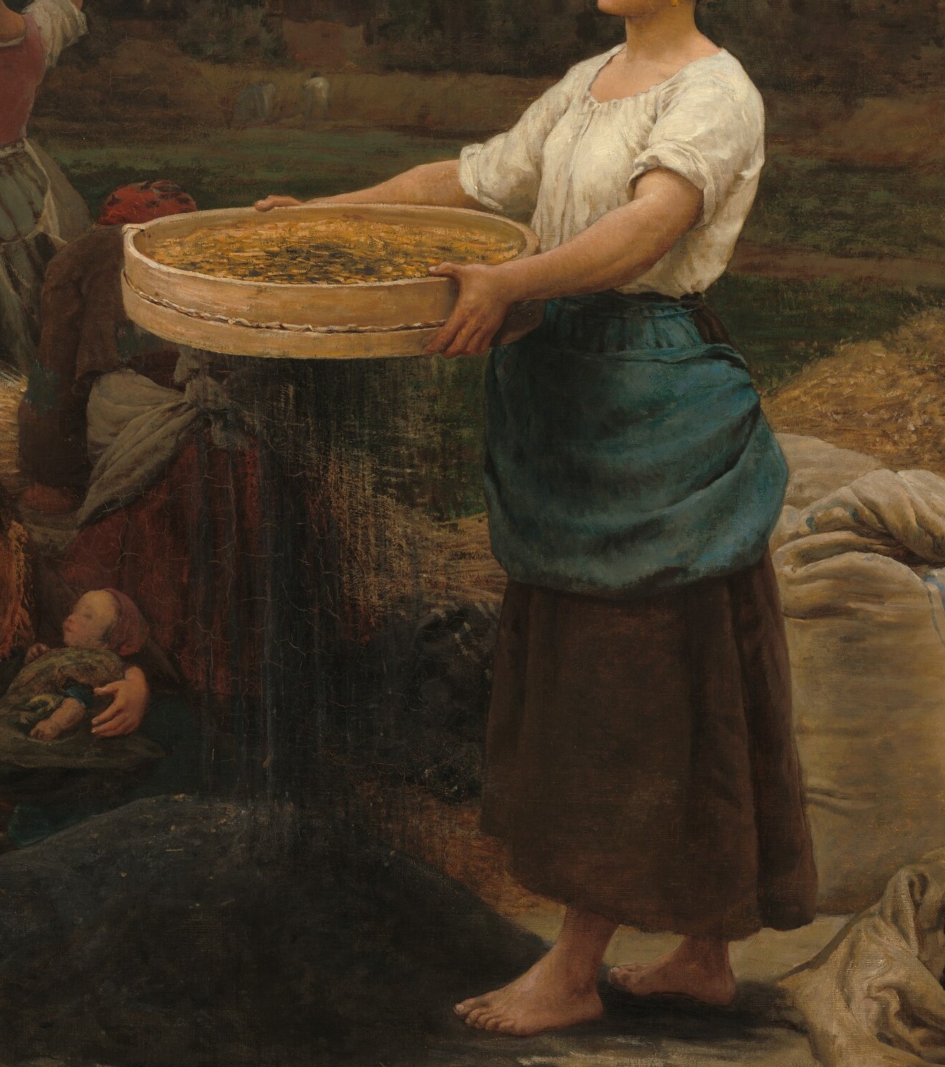 He focused on the rhythm of harvesting rapeseed.