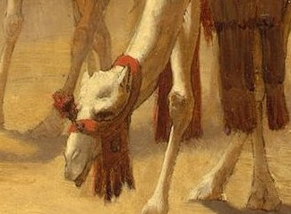 The detailed rendering of the camel's head, with its alert eyes and textured fur, highlights the exotic nature of the expedition.