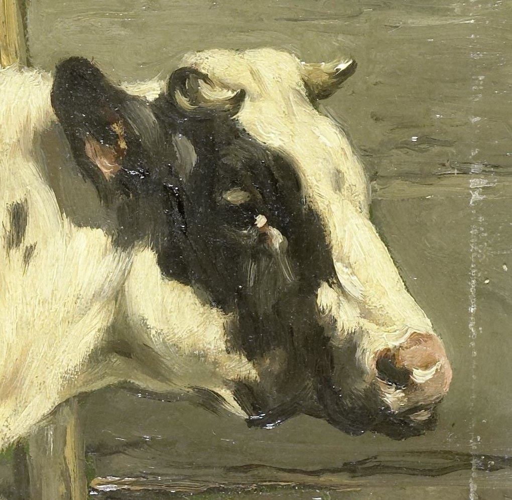 The alert gaze and slightly tilted head suggest awareness of its surroundings, hinting at a narrative moment.