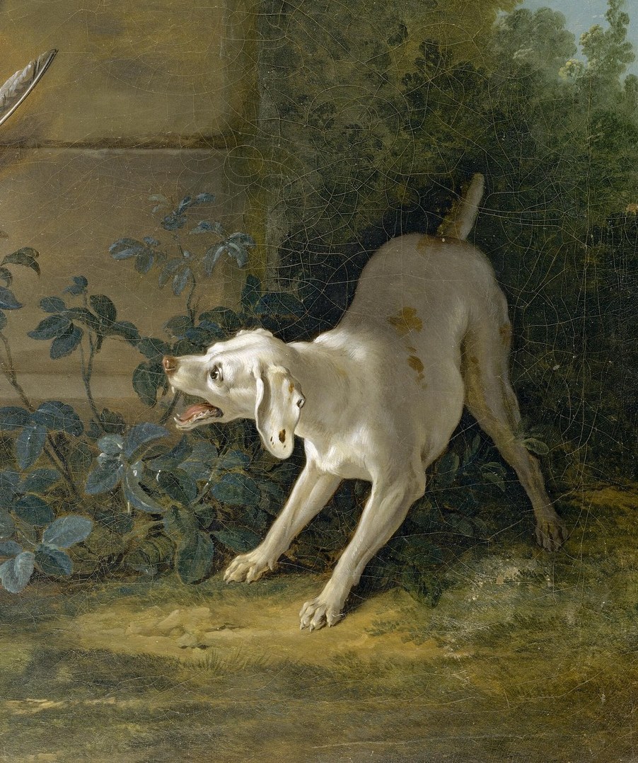 A spaniel stands guard in the forest.