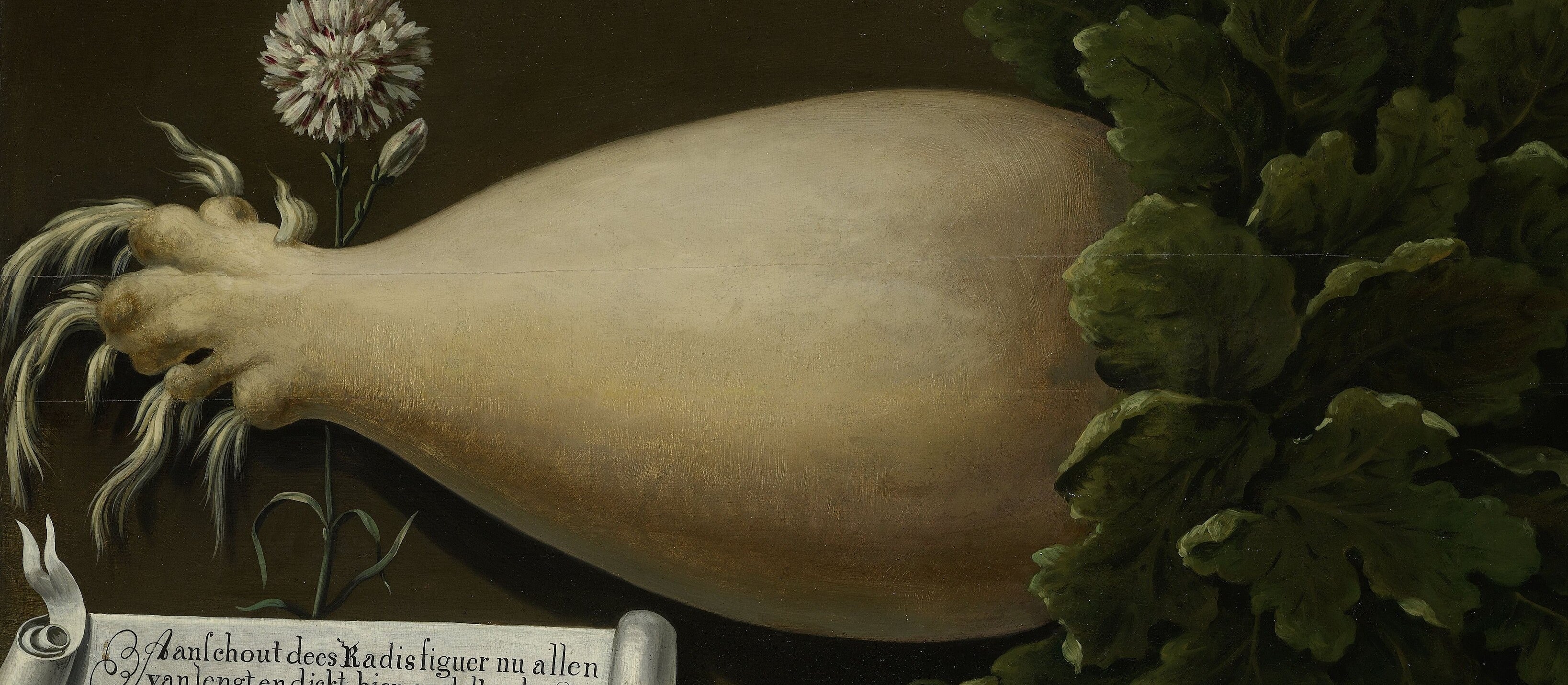 The radish is modeled in light and shadow, like a portrait sitter.