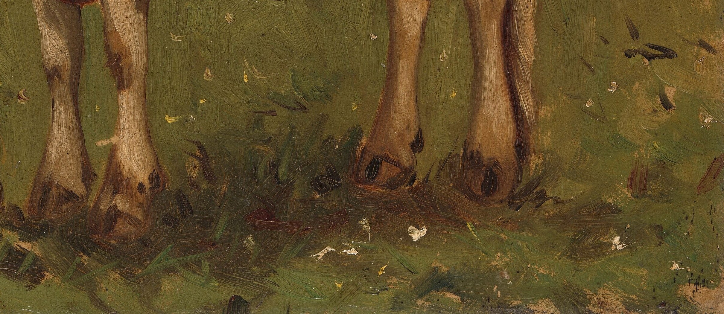 The varied greens and browns suggest a natural, unmanicured field, rich with life.