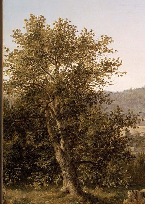 This painter was a key member of the Hudson River School.