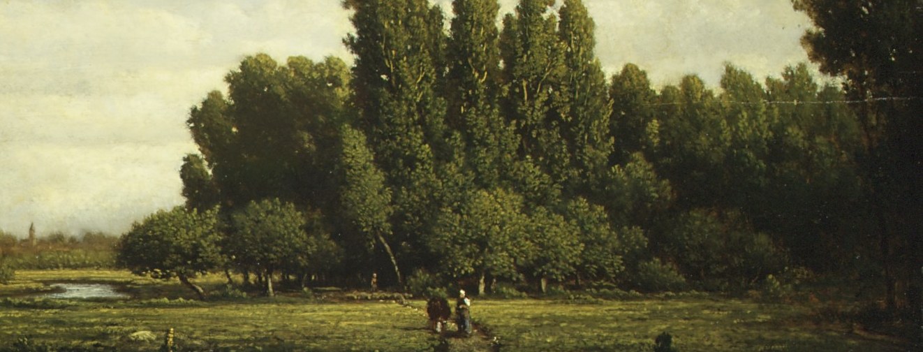 Notice the detailed interplay of light and shadow.