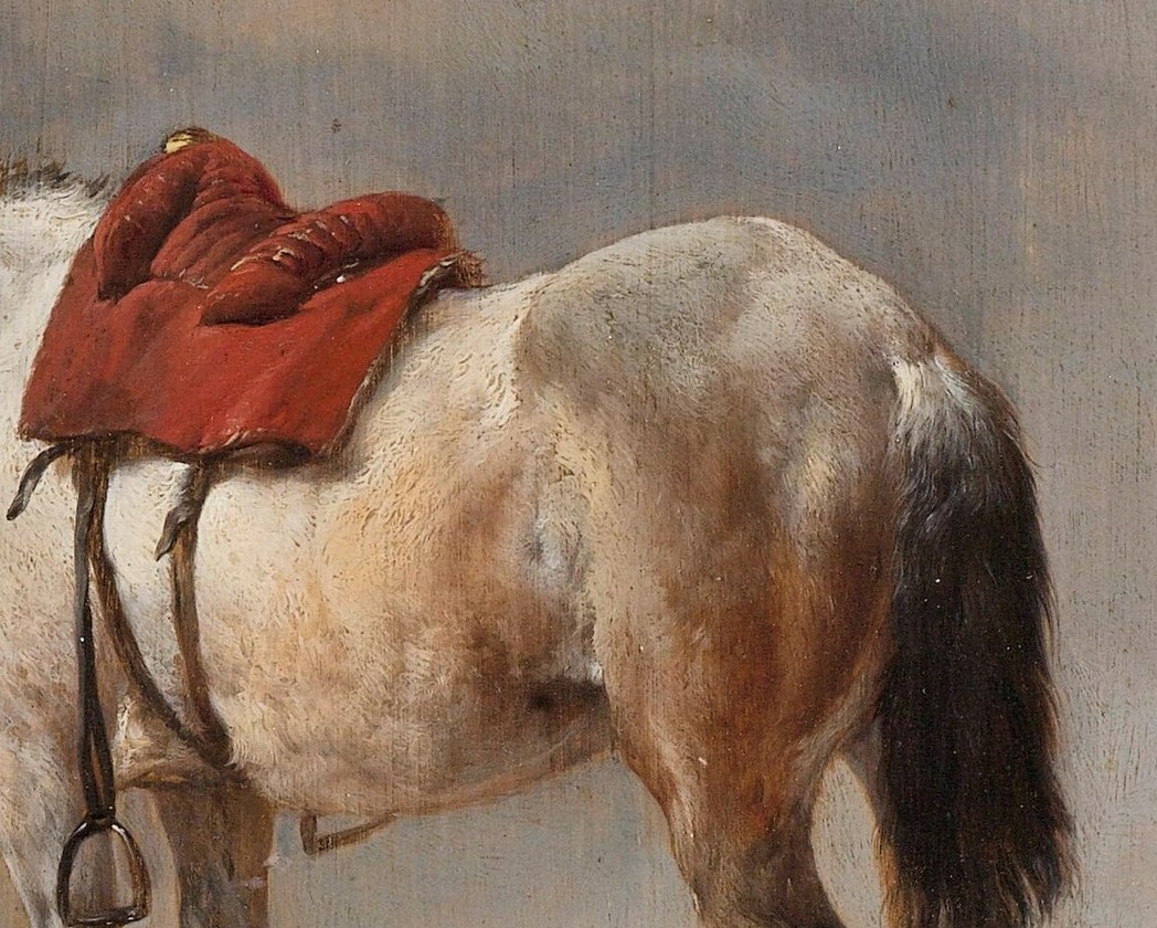 The red saddle blanket adds a vibrant focal point.