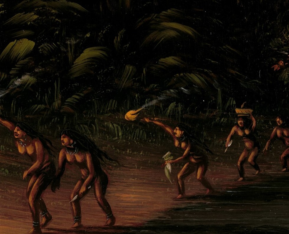 Here, hunters gather turtles by torchlight in the jungle.