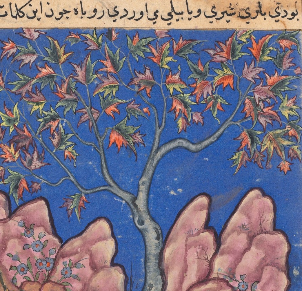 The plane tree (sycamore) is a signature motif of early Mughal painting derived from Persian prototypes; it structures the entire pictorial field and roots the scene in an idealized literary landscape