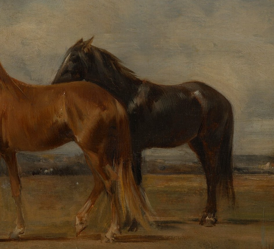 Here, two horses stand, awaiting their next journey.