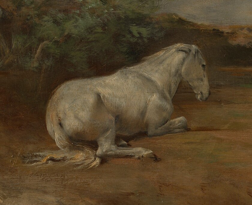 While this white horse rests, in a moment of calm.