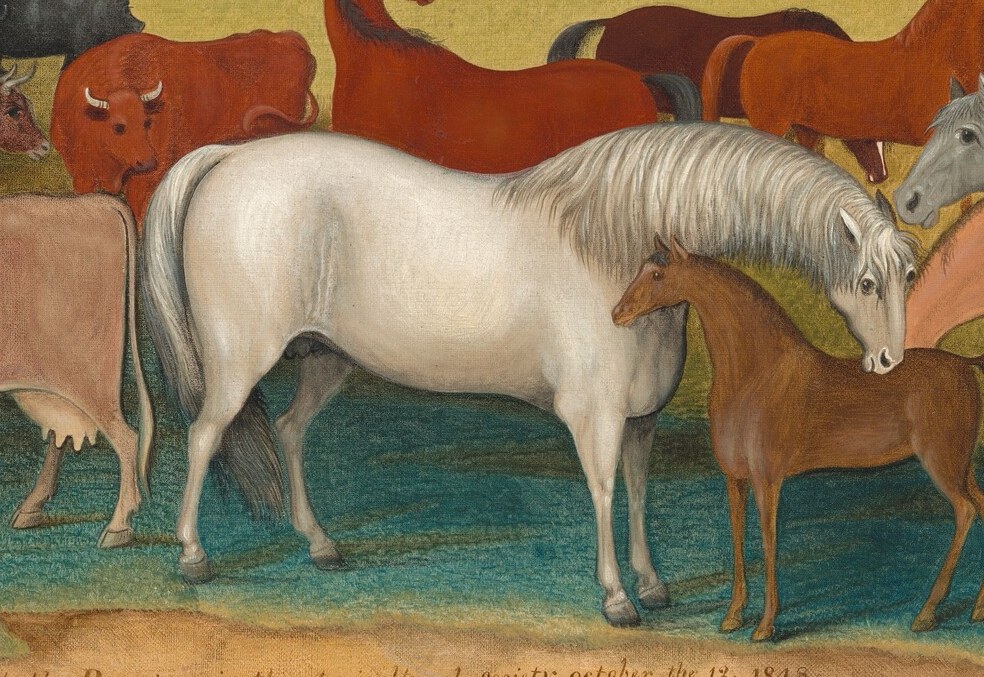 Its pristine white coat and central placement suggest purity, importance, or perhaps a prize animal.