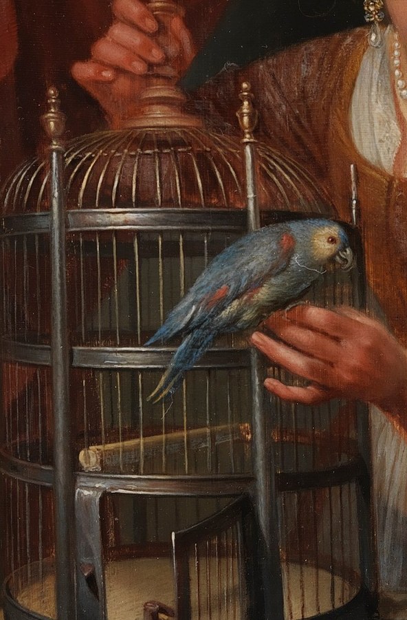 Or the intricate metalwork of this parrot's cage.