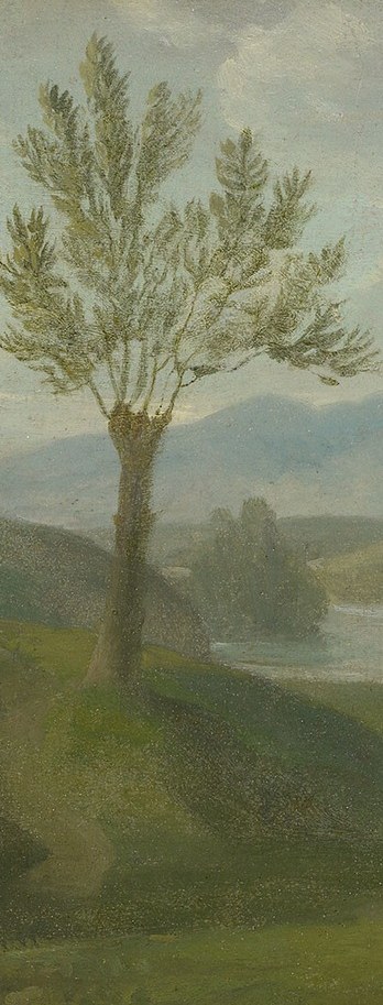 So why does this landscape have no animals at all?