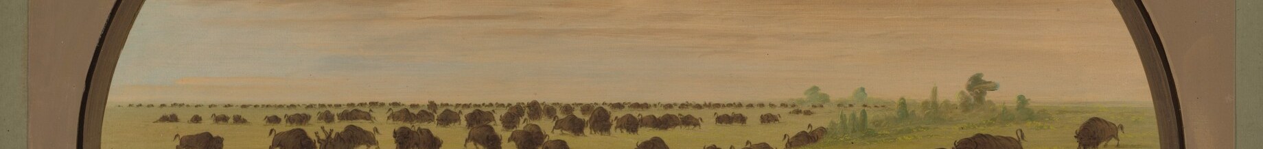 The unbroken horizon identifies the landscape as the American Great Plains precisely; the herd presses right to its edge, filling every available inch of land