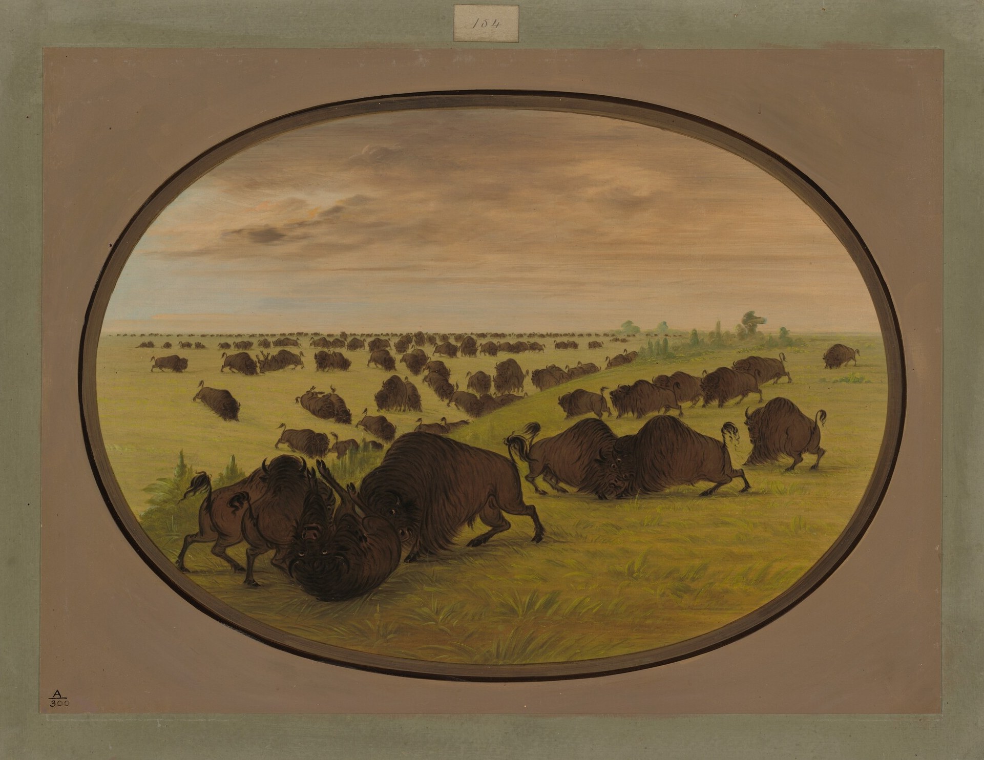 Catlin used oval formats for his traveling exhibition 'cartoons'; the border signals this is a composed public spectacle, not a field sketch, an implicit claim of documentary authority