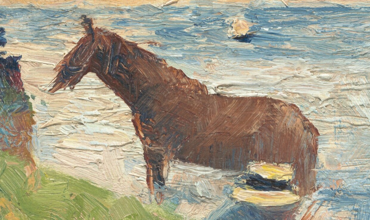 A solitary horse stands in the shallow river.