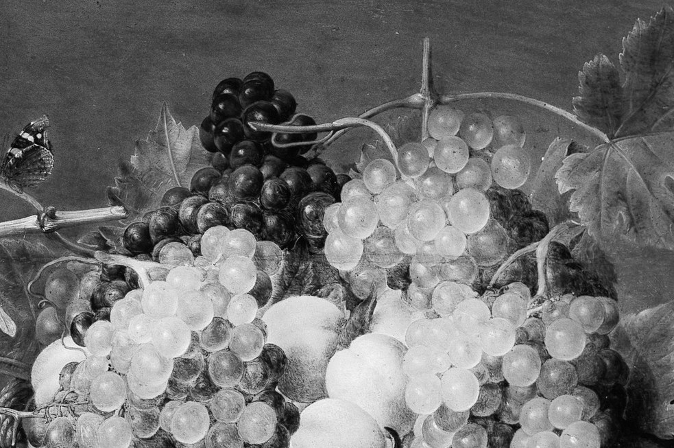 Then the fruit began speaking.