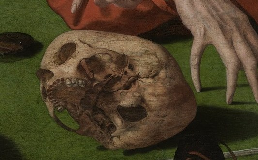 See the texture of the skull's bone.