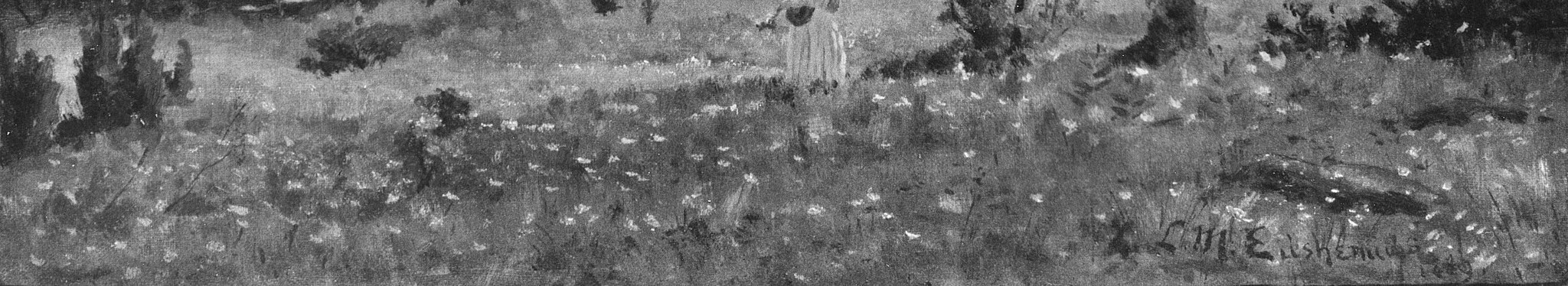 The dense texture of the foreground flowers creates a sense of abundance and natural beauty.