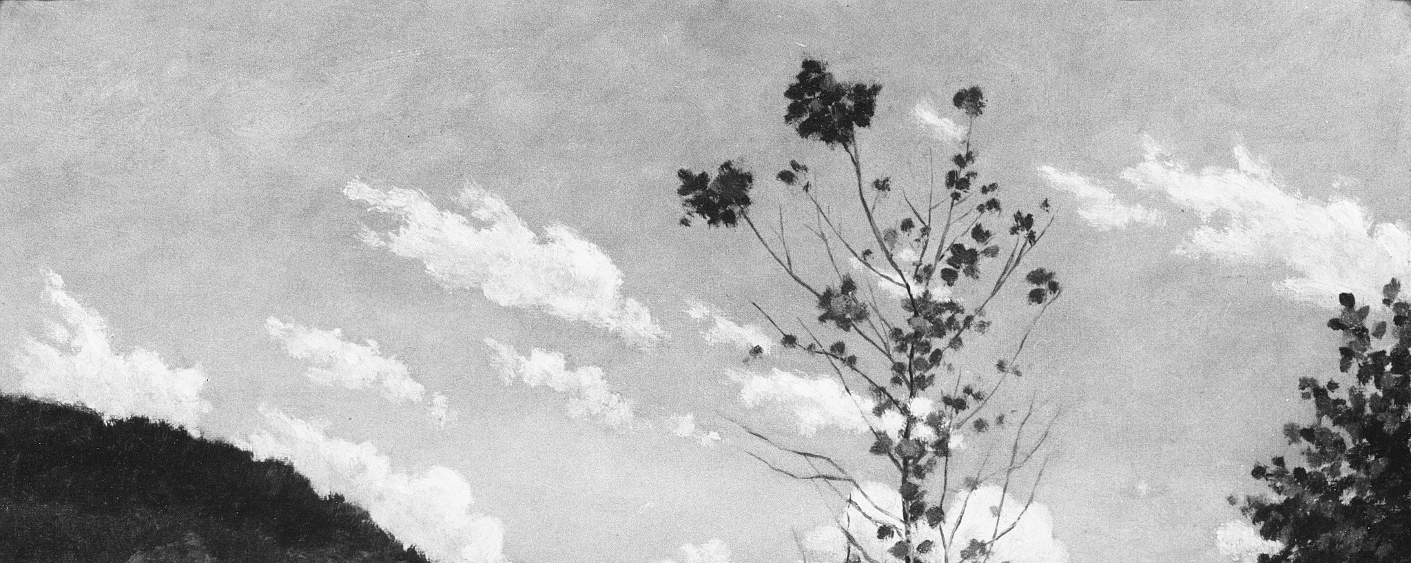 The bright sky with scattered clouds creates a feeling of openness and light.