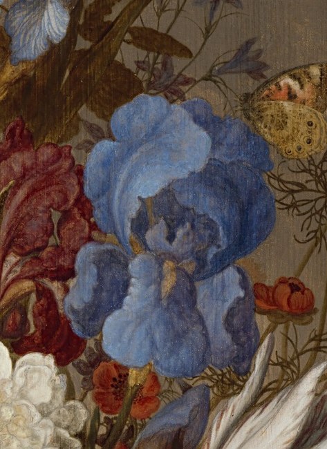 He captures the delicate veins in blue irises.