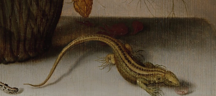 But look at this small lizard, in oil paint.