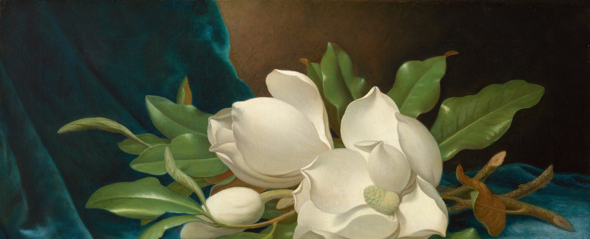 The near-black void that makes the white petals appear to emit light , this technique, borrowed from Dutch masters, is Heade's primary luminist device in his magnolia series.
