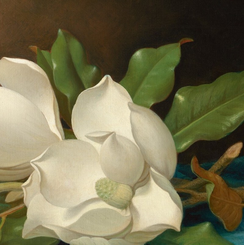 Companion bloom slightly overlapping the first, creating a compositional pair that guides the eye across the canvas; subtle petal curl distinguishes it from its twin.